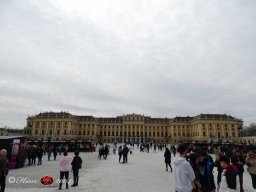 Ostermarkt Schönbrunn am 22. 03. 2024